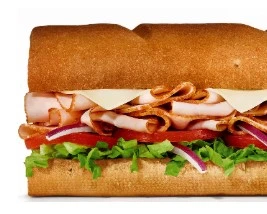 Oven Roasted Turkey 1