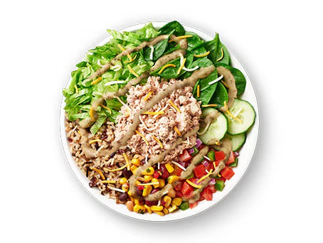 Canada 39 subway classic tuna bowl 1